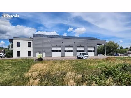 locaux d'activités marlenheim