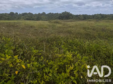vente terrain à bâtir 10 000 m²