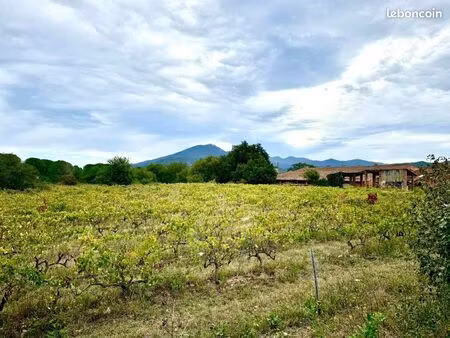 terrain 504 m² saint jean pla de corts