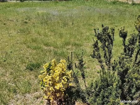 terrain 200 m² sainte marie