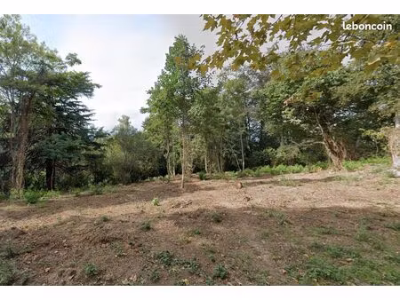 terrain 38456 m² jurancon