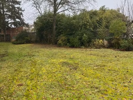 très joli terrain