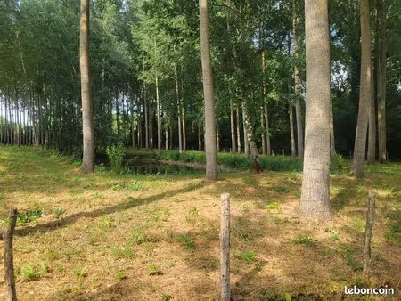 terrain de loisirs clôturé de 7800 m2 avec étang et peupleraie