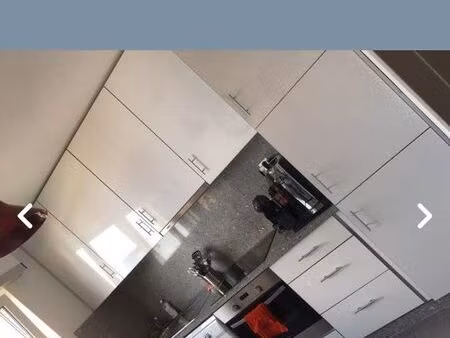 appartement f3 entièrement rénové