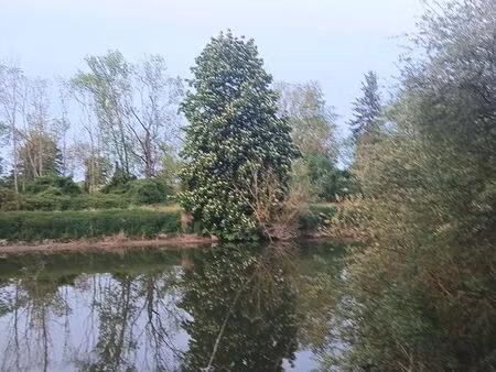 chalet cadastré sur terrain de 1 000 m² – bord de seine (78270)