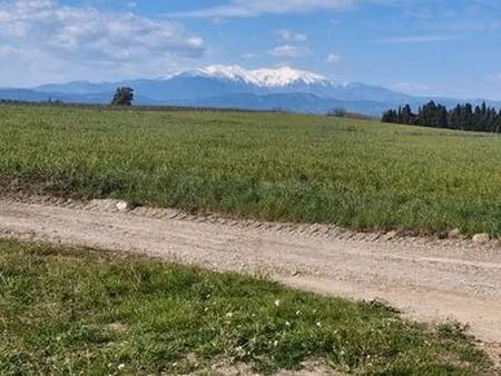recherche petit bout de terrain