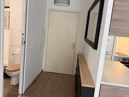 appartement f2 42 8m2