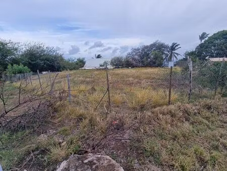 terrain case pilote 1000 m2 quartier micolo