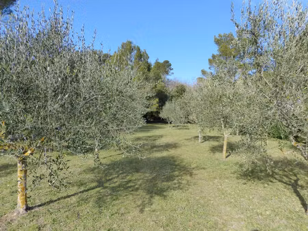 terrain constructible de 1783 m² à la roquebrussanne