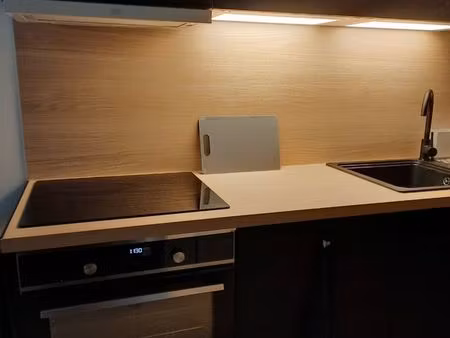 t3 duplex meublé tours centre