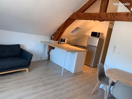 appartement lumineux de 36m² refait à neuf