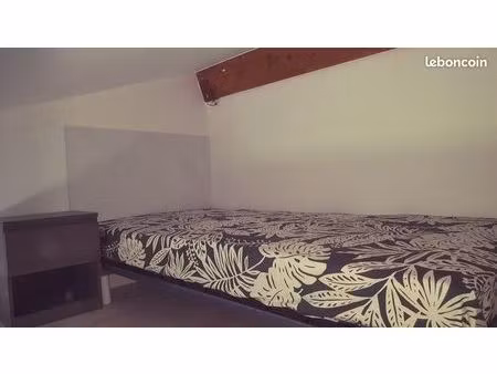 studio 1 pièce 18 m²