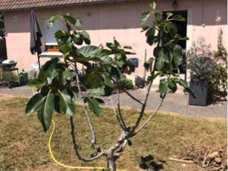 vente maison à proximité de la mer