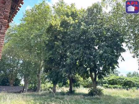 ferme à vendre