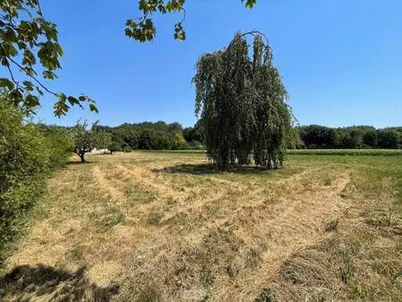 terrain constructible viabilisé à vendre