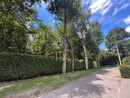 uniek perceel bosgrond van ca. 4.000 m² op toplocatie in ...