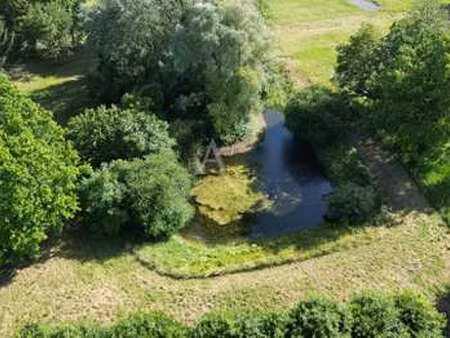 vente terrain à prée-d'anjou (53200) : à vendre / 6772m² prée-d'anjou