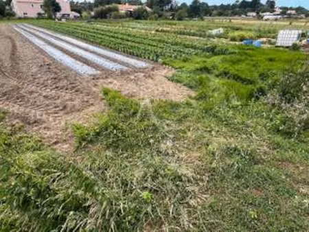 vente terrain à longeville-sur-mer (85560) : à vendre / longeville-sur-mer