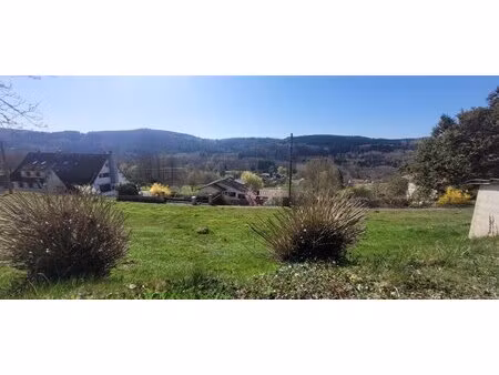 en vente terrain constructible 9 8 ares – 23 000 € |moyenmoutier