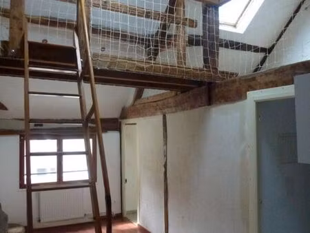 appartement t3 sympathique aux halles etudiant