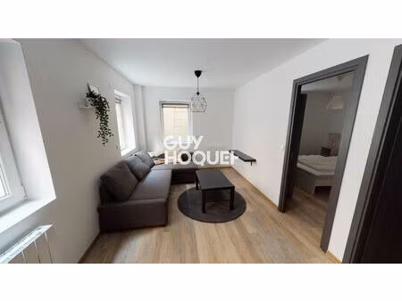 location appartement meuble t3 a mulhouse