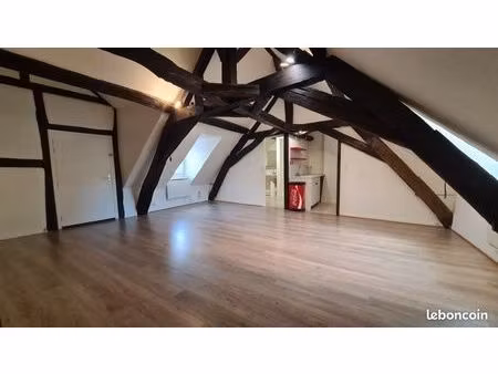 charmant appartement en hyper centre au calme