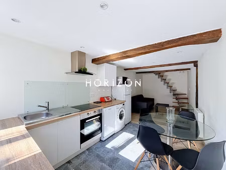 thoissey : appartement t2 bis  1 chambre