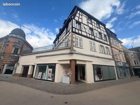 sélestat centre - rue de la poste- 4 pièces 91 m2