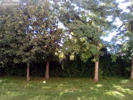 meublé 57 m² verdure rdc haut meublé 57 m² verdure rdc haut