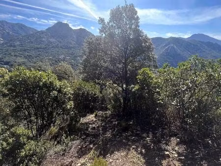 terrain constructible viabilisé à vendre