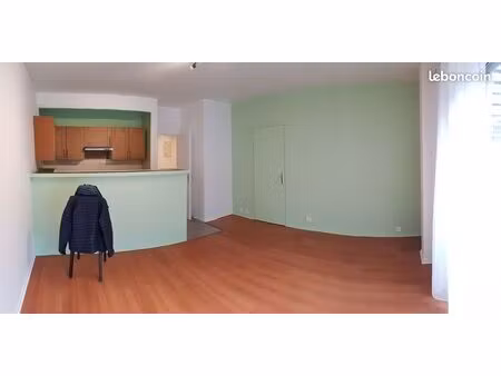 appartement t2 45 m2 au rdc (parking privé possible)