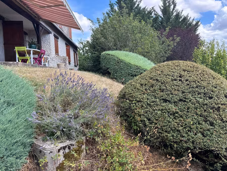 maison à vendre 6 pièces bleneau (89)
