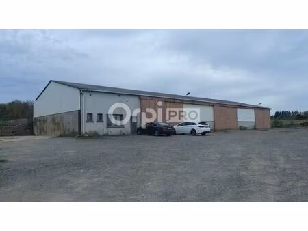 vente entrepôt sougy sur loire 58300 846m² à 856m²