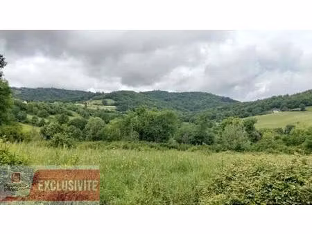terrain lanteuil 2571 m2