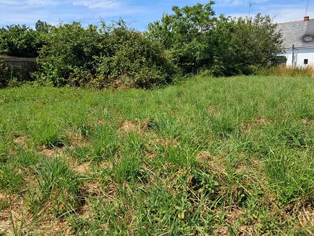 terrain saint lyphard 422 m2