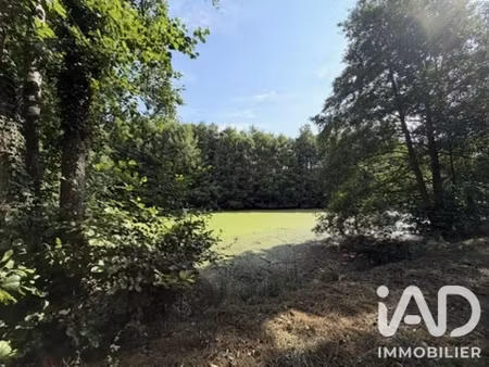 vente terrain 7 666 m²