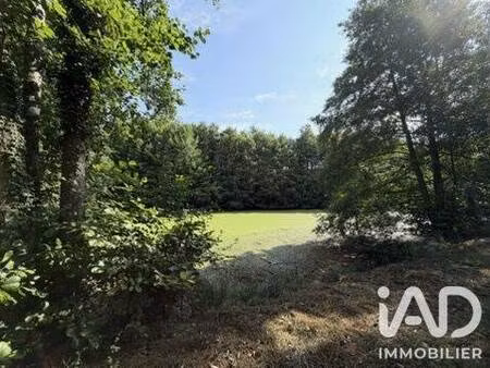 terrain à vendre