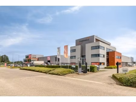 commercieel te huur in geel
