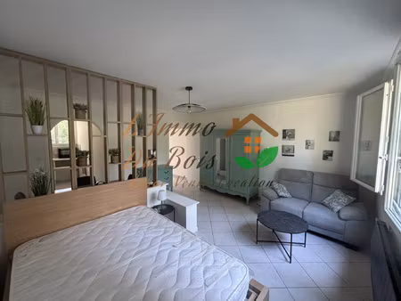 location appartement 1 pièce 35m² roussillon 38150