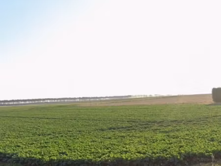 vente terrain agricole 1 476 m²