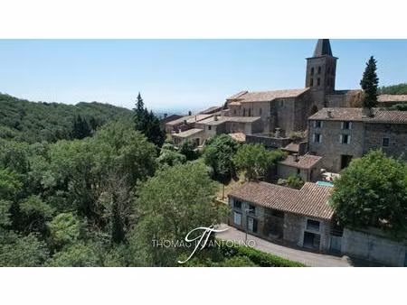 maison en pierre entierement rénovée - vue dégagée