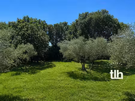 grand terrain parcellisable saint genies des mourgues