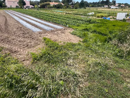 vente terrain de loisirs  longeville