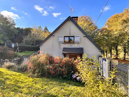 vente maison 4 pièces 80 m² ivoy-le-pré (18380)