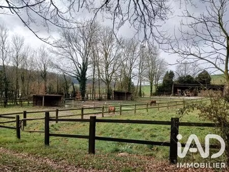 haras à bezinghem (62650)