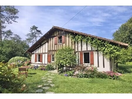 propriété saint-michel-escalus - 5 chambres - 300m²