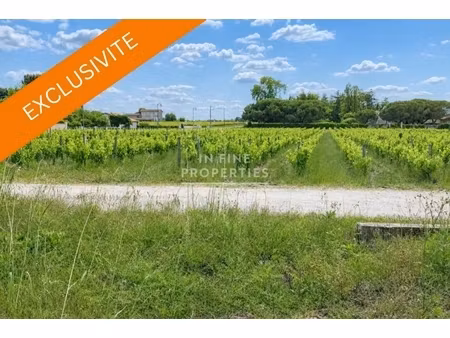 annonce terrain à vendre