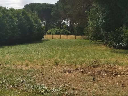 vente terrain 990 m² saint-maixant (33490)