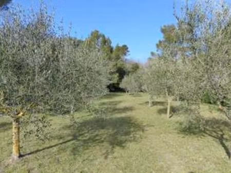 vente terrain à la roquebrussanne (83136) : à vendre / 1783m² la roquebrussanne