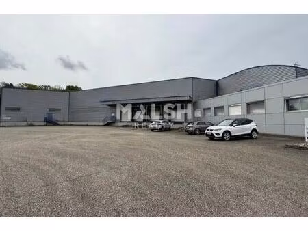 vente local d’activités four 38080 13800m²